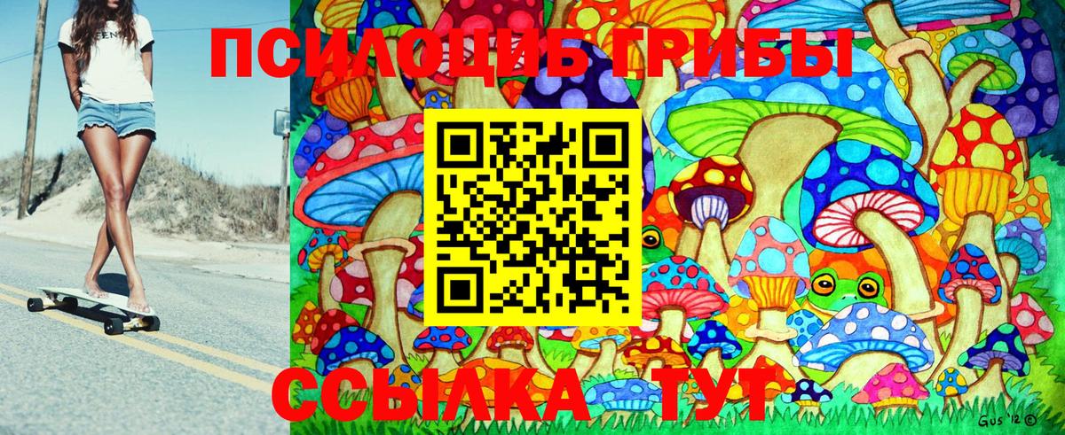 Псилоцибиновые грибы Psilocybe  Псилоцибиновые грибы Magic Shrooms  Сланцы  Вход с VPN 