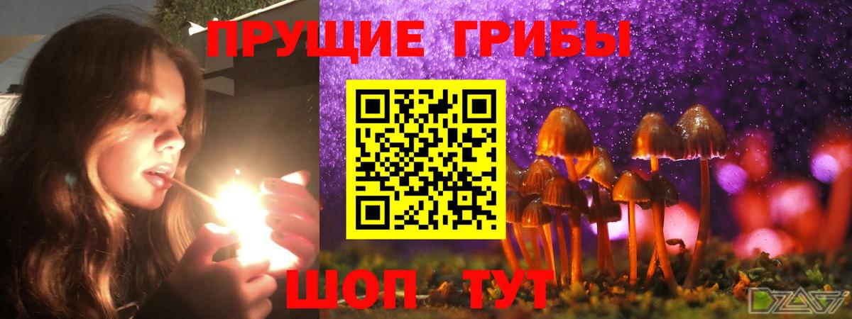 Галлюциногенные грибы ЛСД Сланцы